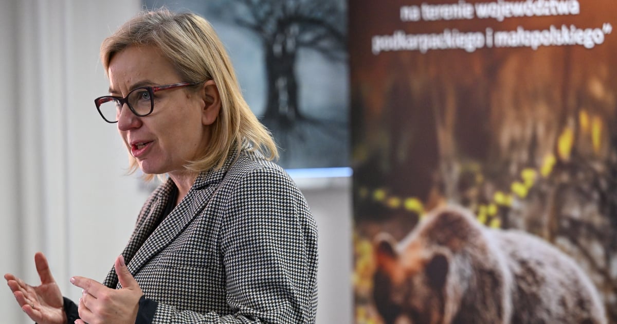 Czy Paulina Hennig-Kloska straci stanowisko? Znamy wyniki sondażu