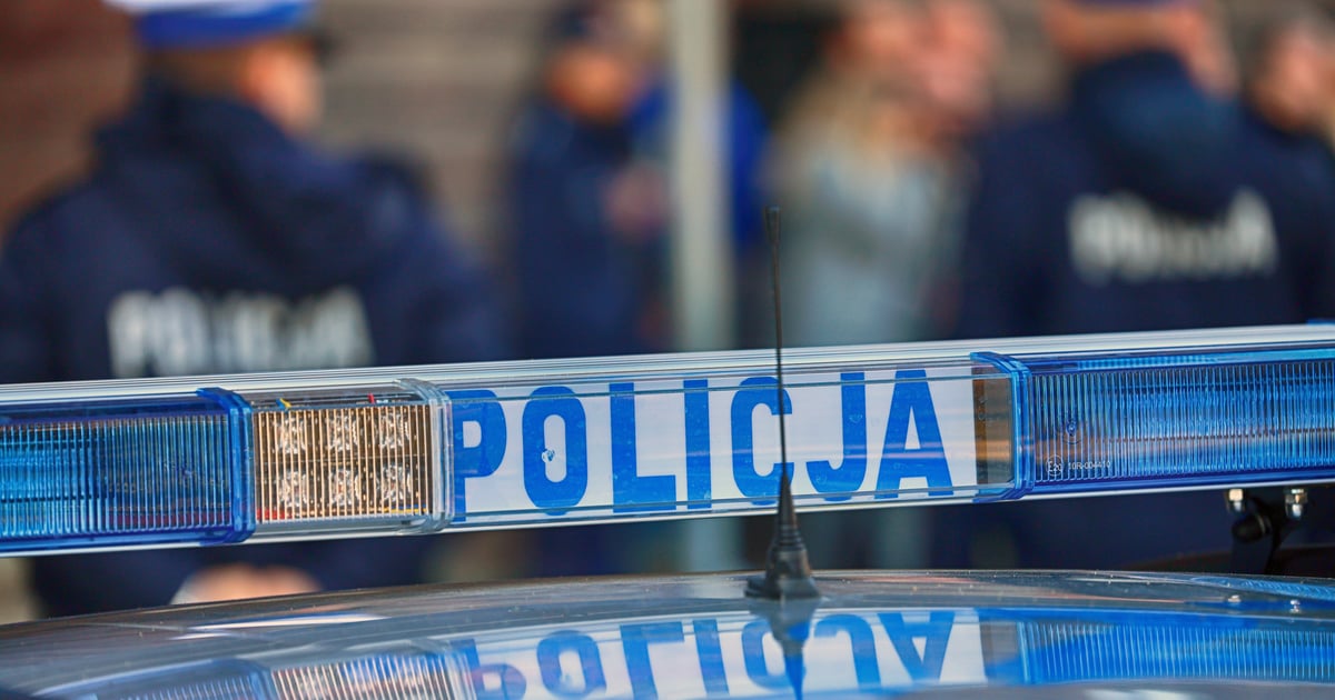 Przesłała instrukcję, jak zbudować ładunek wybuchowy. Zatrzymano 17-latkę, która miała pomagać w organizacji ataku na szkołę
