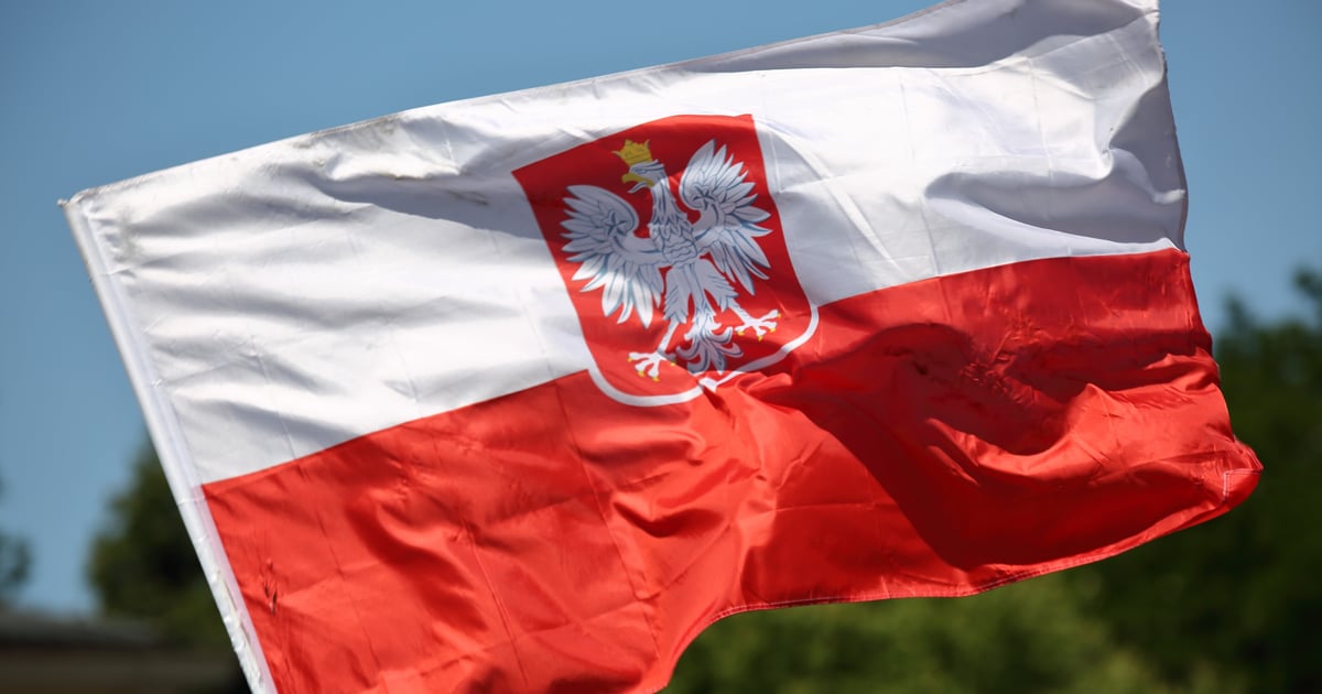 Orzeł Biały do poprawki. Co jest nie tak z godłem Polski?