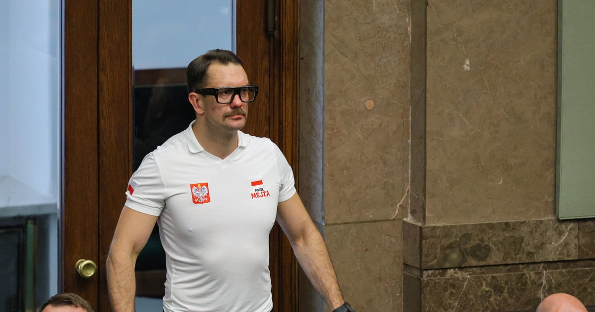 „Mejza tango down. Ciekawe, kto następny”. Lawina komentarzy po decyzji PiS