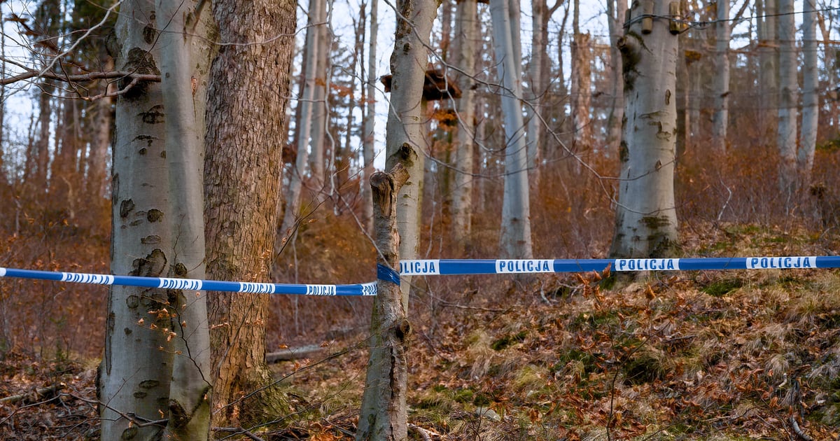 Wszystko wskazywało na samobójstwo. Po roku zatrzymano znajomego ofiary