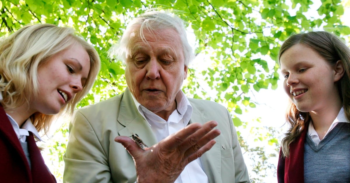 Nie tylko szczęście. Jaki jest sekret długowieczności sir Davida Attenborough?