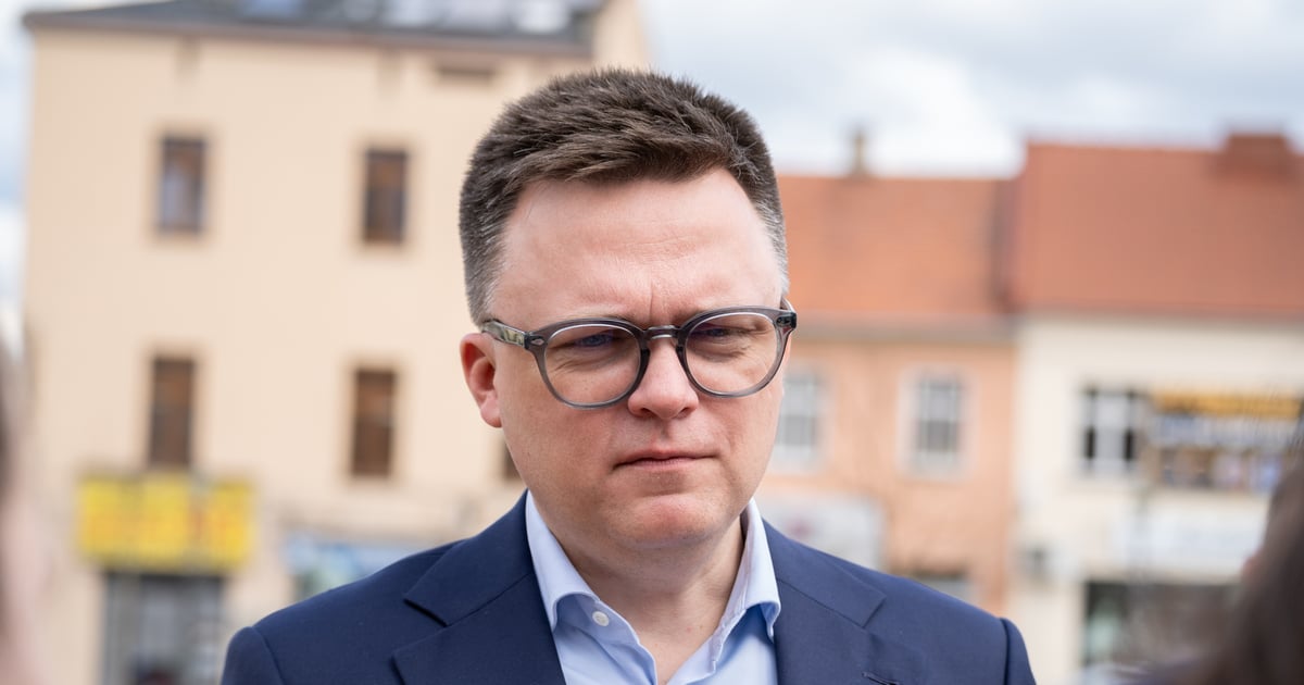 "Tusk jest drapieżnikiem". Zaskakujące wyznanie Hołowni