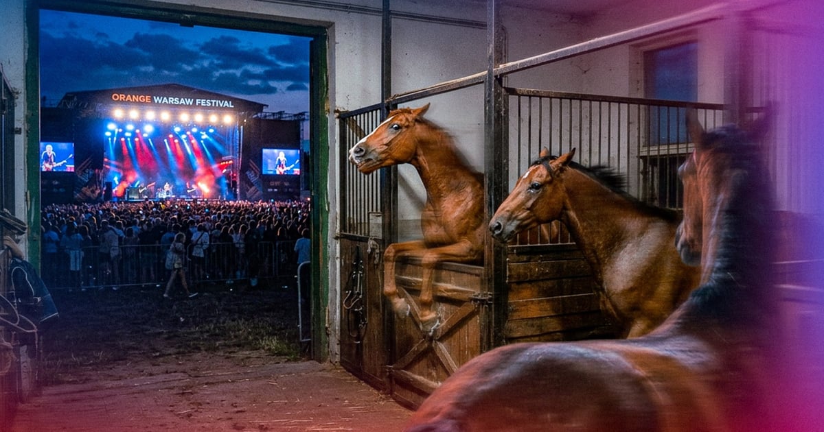 Orange Warsaw Festival: święto muzyki dla ludzi, koszmar dla koni ze Służewca