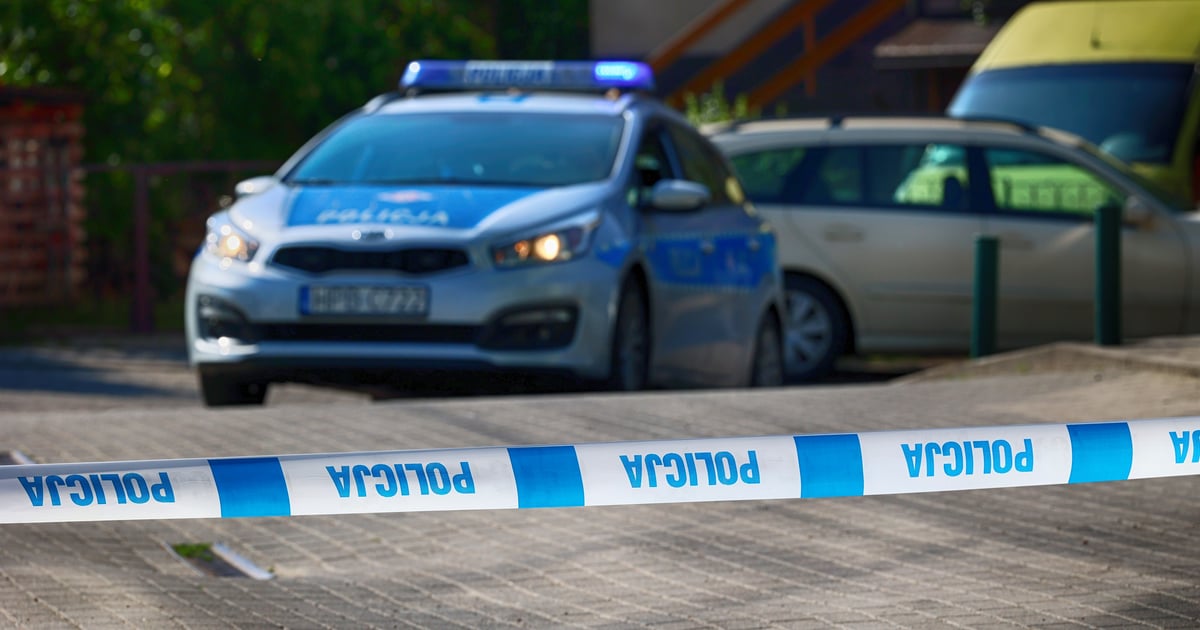 Próbował „wystraszyć” nastolatków w Gdańsku. Strzelił do 14-latka z wiatrówki
