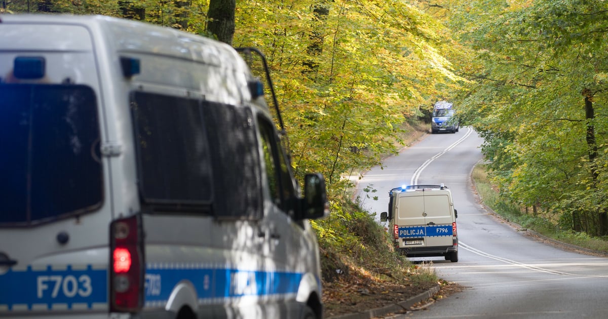 Mszana Dolna. Ciało młodego mężczyzny znalezione podczas obławy. „Trwa identyfikacja zwłok”