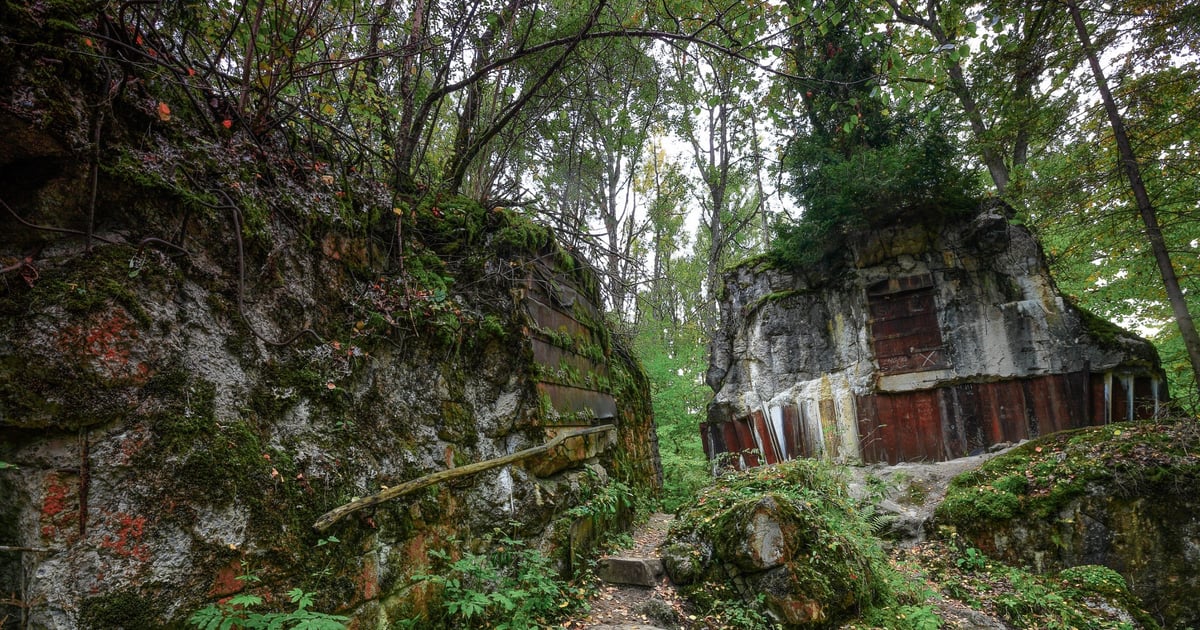 Tajemnica Wilczego Szańca. Archeolodzy wracają na miejsce makabrycznego odkrycia