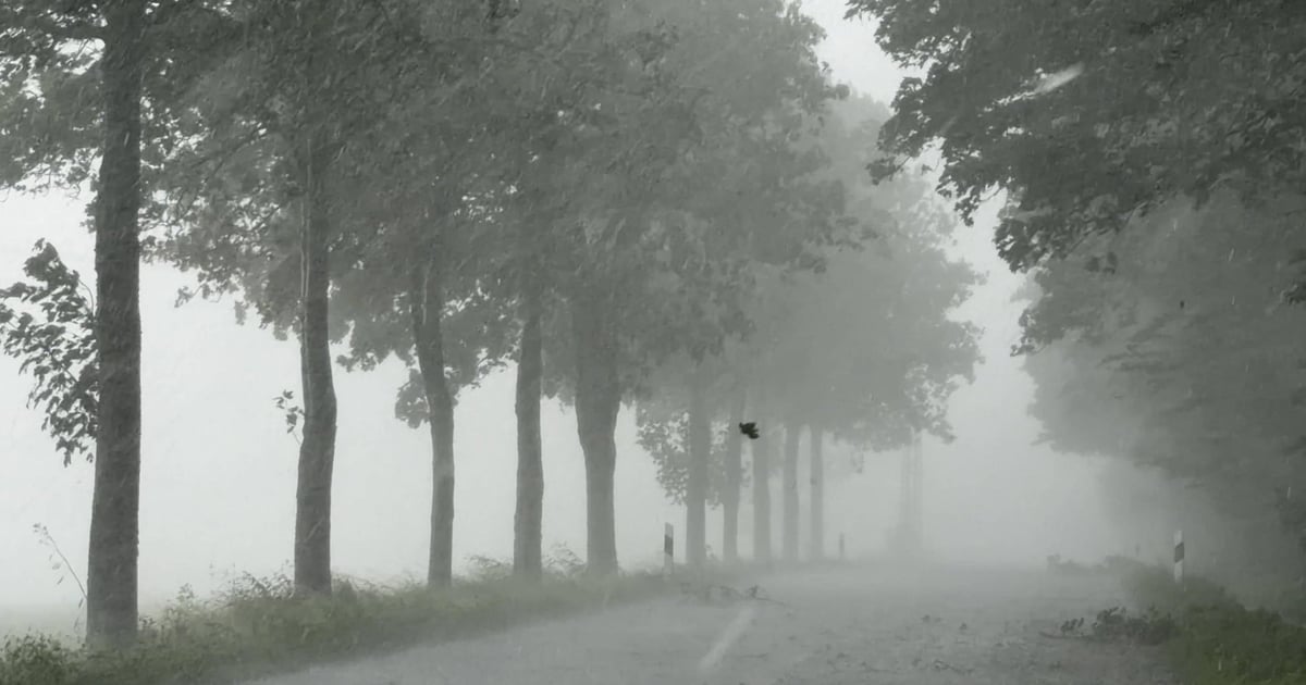 Gwałtowne burze nad Polską. Grad, ulewy i powalone drzewa