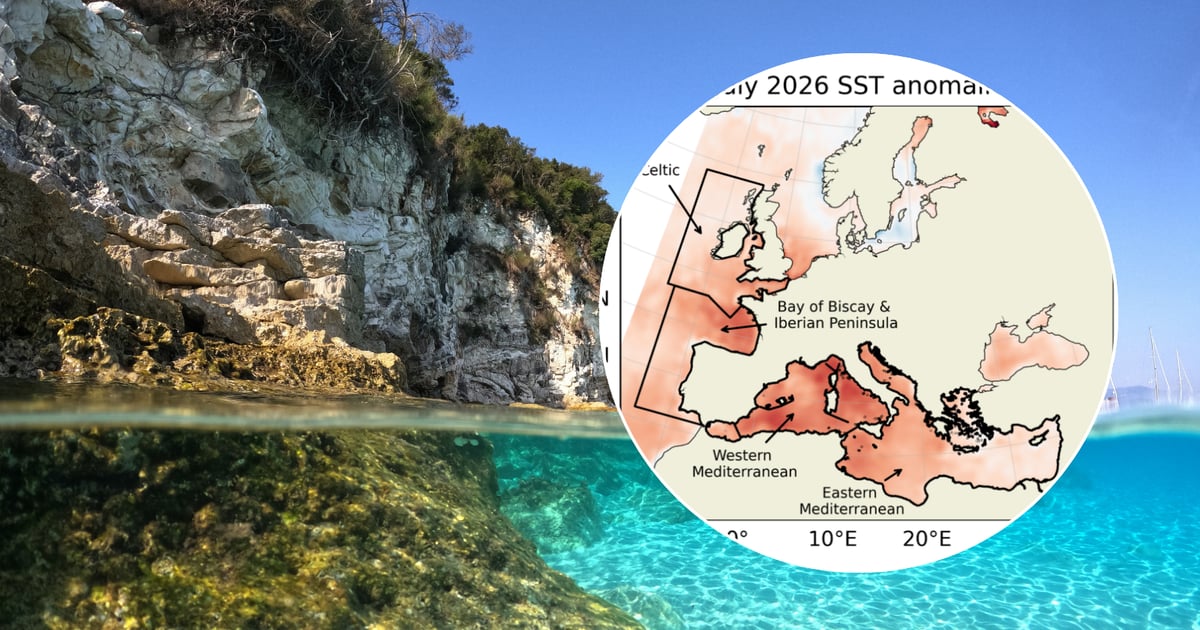 Rekordowe temperatury w europejskich morzach. Badacze alarmują