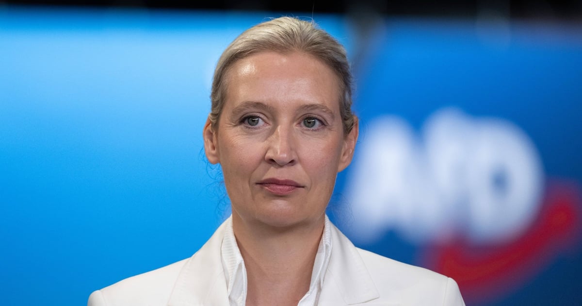 AfD chce zamknąć granice Niemiec. Weidel zapowiada wyjście z Schengen i euro