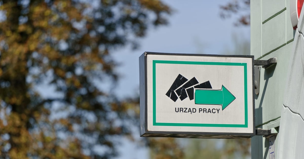 Zaskoczenie w danych GUS. Alarm dla polskiego rynku pracy odwołany?