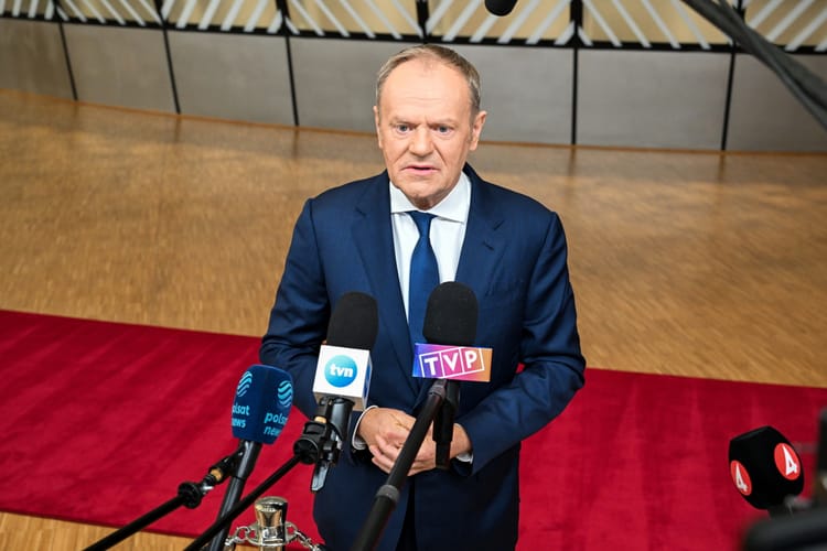 Premier Donald Tusk zareagował na dramat w schronisku w Sobolewie (fot. PAP/Wiktor Dąbkowski)