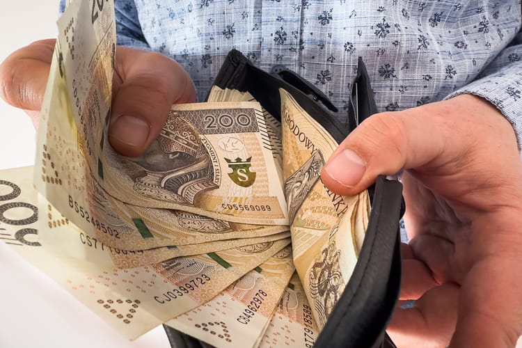 Złotówki w portfelu