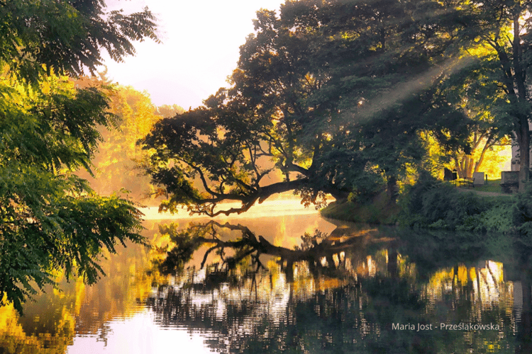 zrzut-ekranu-2026-02-22-101259