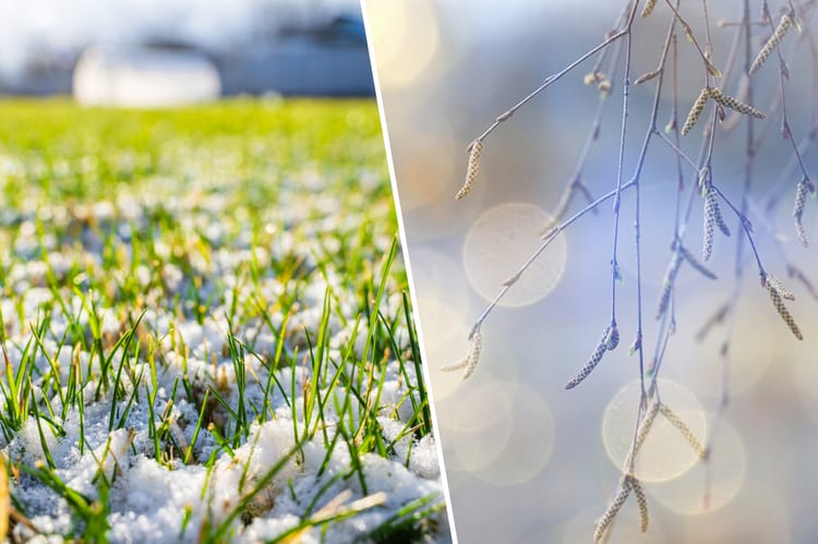 Prognoza pogody. Wiosna coraz bliżej