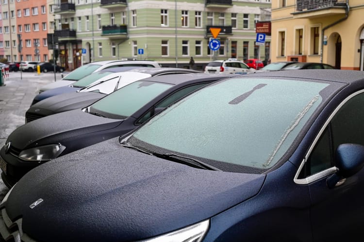 Gołoledź