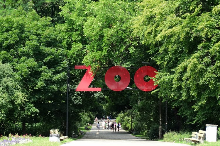 Warszawskie zoo.