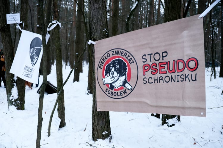 Protest przed schroniskiem w Sobolewie