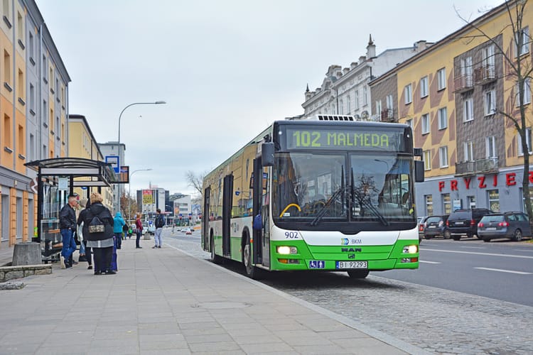 Bialystok,,Poland,-,October,22,,2017,-,Man,Nl273,Lion's