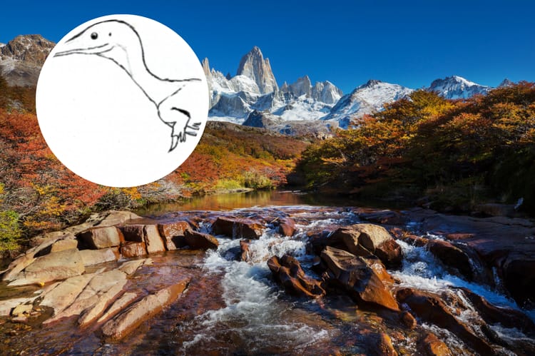 Alnashetri cerropoliciensis