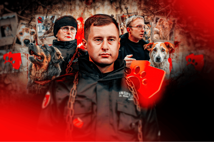 artykul_glowne-foto-1