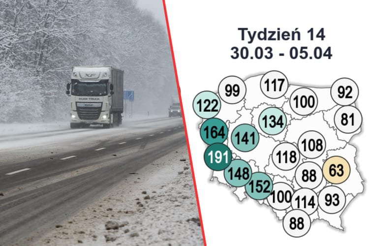 Prognoza pogody. Do Polski może powrócić śnieg.