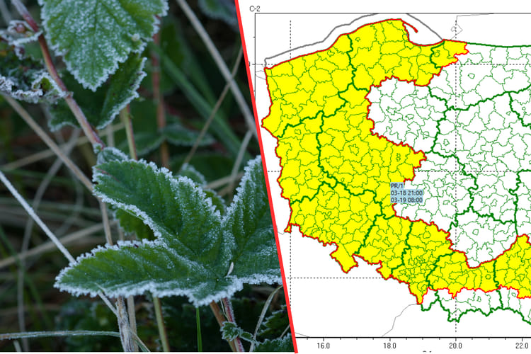 glowne-prognoza-18-03