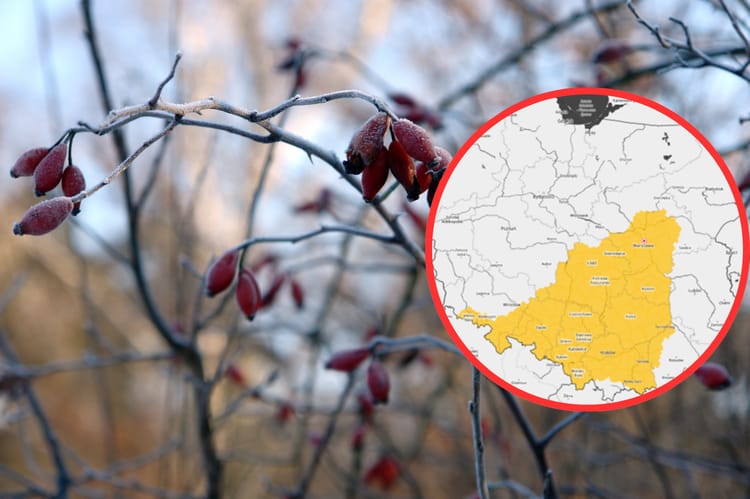 glowne-prognoza-19-03