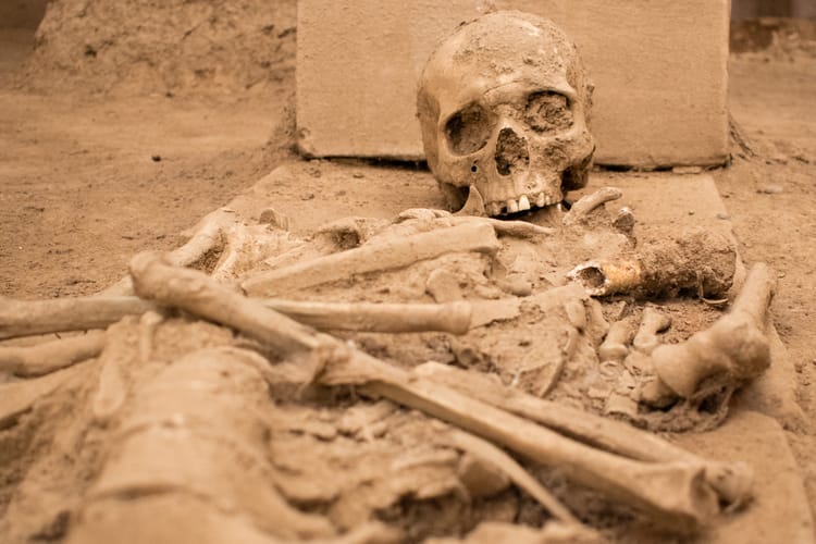 Kamienie polne wokół czaszki. Archeolodzy badają praktyki antywampiryczne na Kujawach.