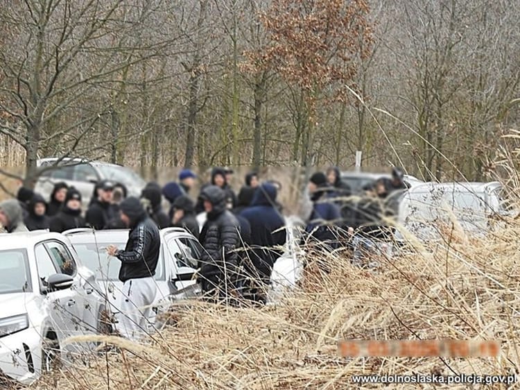 Tłum kiboli czaił się przy drodze. Policji powiedzieli, że przyjechali na grzyby