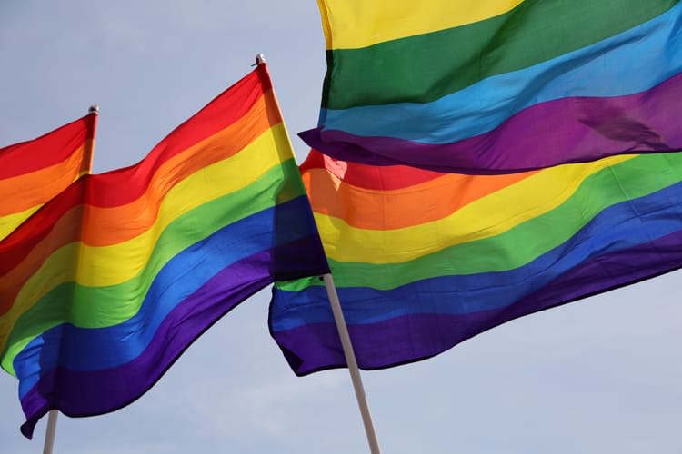 Tęczowe flagi.