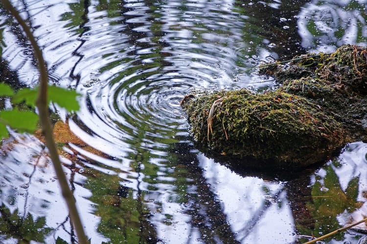 Mofettes,At,The,Laacher,See,In,The,East,Eifel