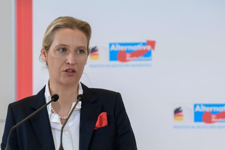 Alice Weidel