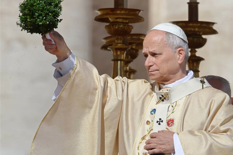 Polacy ocenili Leona XIV