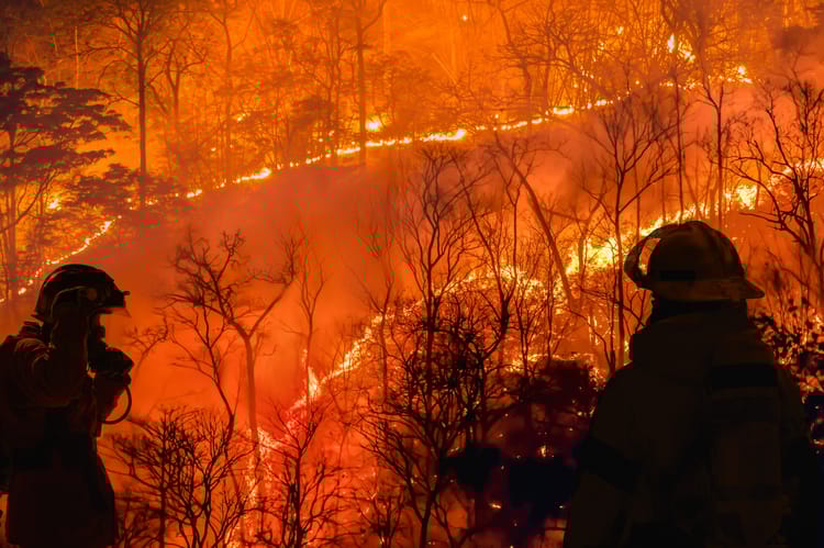 Firefighters,Battle,A,Wildfire,Because,El,Nino,Events,,,Climate