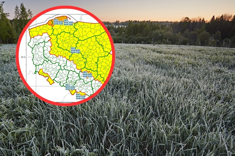 kopia-projekt-bez-nazwy