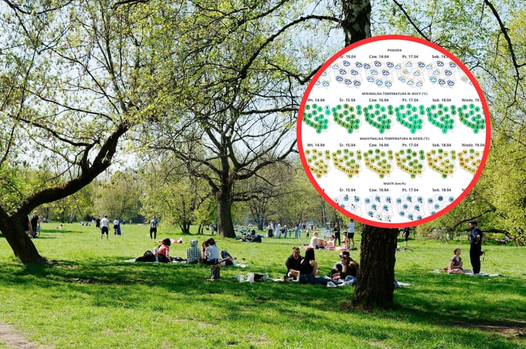 kopia-projekt-bez-nazwy-2