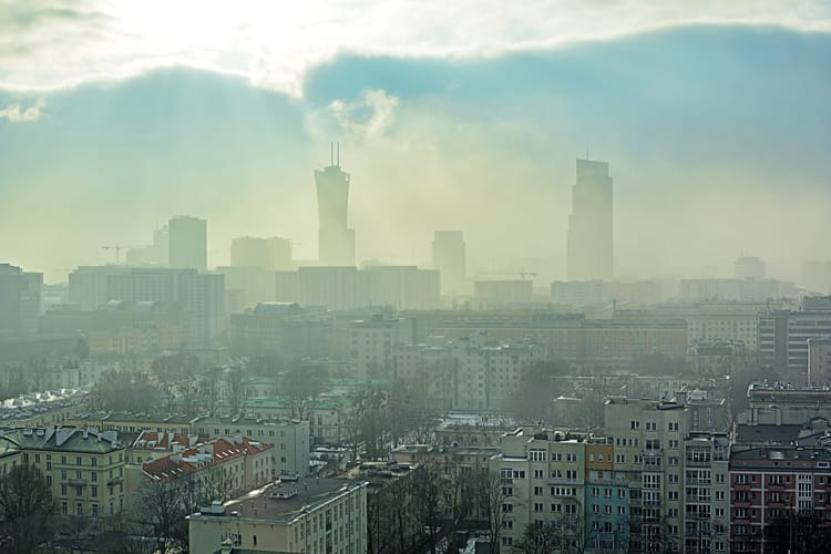 Aktywista straszy Bosakiem.