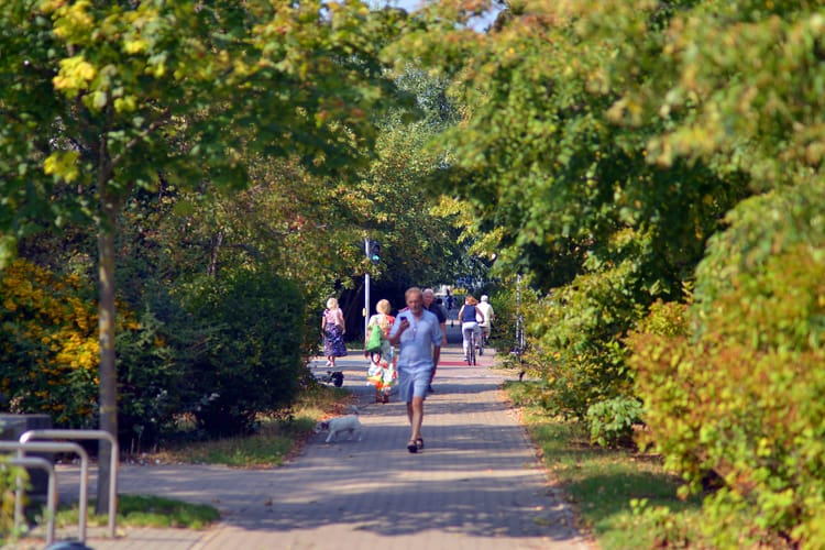 Warsaw,,Poland.,24,August,2024.,Residents,Walking,In,The,Park