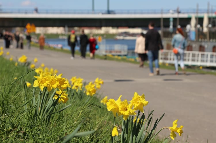 S?oneczna Wielkanoc w Krakowie