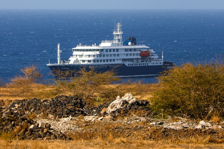 Three passengers on Dutch cruise ship die in suspected virus outbreak