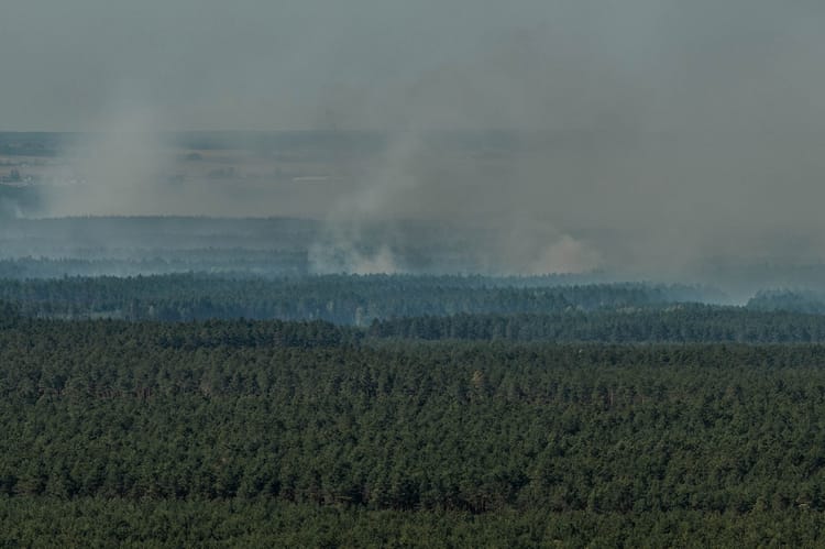 Gaszenie pożaru lasu.