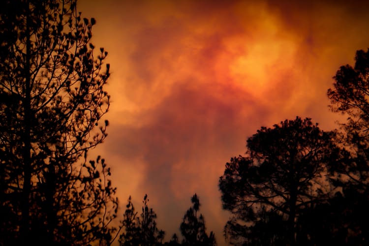 Forest,Fire.,Severe,Wildfire.,Natural,Wildfire.,Wildfire,Background