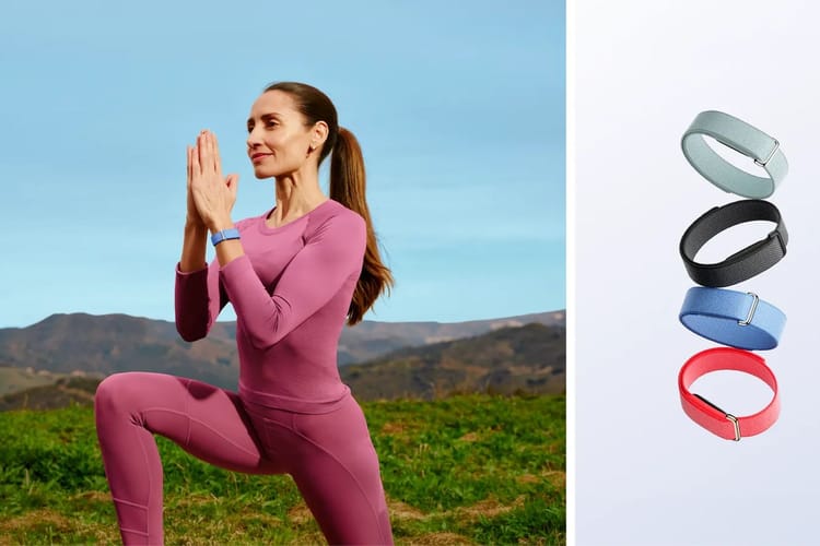 fitbit-air-2