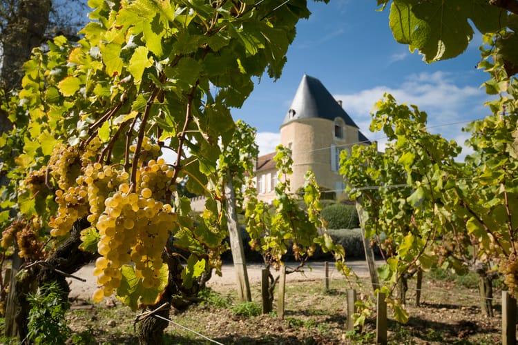 Yquem Castle